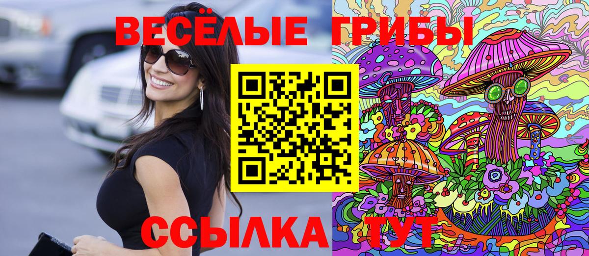 Жуковский  Псилоцибиновые грибы Cubensis  Вход с VPN 